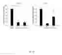 Fig. 14 - Effective delivery of large genes by dual AAV vectors