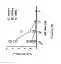 Fig. 07 - LENTIVIRAL VECTORS PSEUDOTYPED WITH A SINDBIS VIRUS ENVELOPE GLYCOPROTEIN