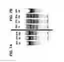 Fig. 08 - Isolated human cell with an inactivated glucocorticoid receptor gene