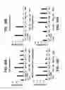 Fig. 11 - Isolated human cell with an inactivated glucocorticoid receptor gene