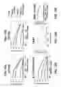 Fig. 13 - Isolated human cell with an inactivated glucocorticoid receptor gene