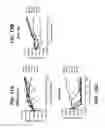 Fig. 14 - Isolated human cell with an inactivated glucocorticoid receptor gene