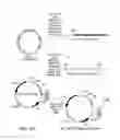 Fig. 05 - Engineering microbes and metabolic pathways for the production of ethylene glycol