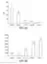 Fig. 11 - Engineered strain of for production of poly-R-3-hydroxyalkanoate polymers with defined monomer unit composition and methods based thereon