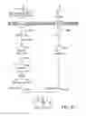 Fig. 34 - Engineered strain of for production of poly-R-3-hydroxyalkanoate polymers with defined monomer unit composition and methods based thereon