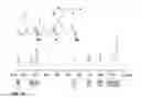 Fig. 56 - Engineered strain of for production of poly-R-3-hydroxyalkanoate polymers with defined monomer unit composition and methods based thereon