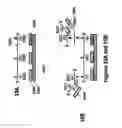 Fig. 20 - Nucleic acid amplification