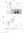 Fig. 29 - Probes and assays for measuring E3 ligase activity