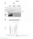 Fig. 37 - Probes and assays for measuring E3 ligase activity