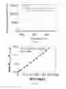 Fig. 04 - Specific fluorescent probe based on albumin pseudo-esterase hydrolysis reaction and use thereof
