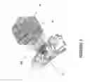 Fig. 02 - Method for thrombogenicity testing of implanted medical device