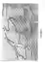 Fig. 09 - Method for thrombogenicity testing of implanted medical device