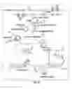 Fig. 26 - Methods and devices related to toehold-based strand displacement with loop-mediated isothermal amplification