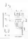 Fig. 27 - Methods and devices related to toehold-based strand displacement with loop-mediated isothermal amplification