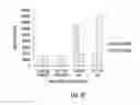 Fig. 43 - Methods and devices related to toehold-based strand displacement with loop-mediated isothermal amplification