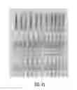 Fig. 46 - Methods and devices related to toehold-based strand displacement with loop-mediated isothermal amplification