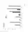 Fig. 08 - Method of examining the identity of strains of lactobacillus fermentum