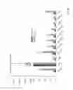 Fig. 10 - Method of examining the identity of strains of lactobacillus fermentum