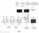 Fig. 02 - METHODS FOR DETECTING AND QUANTIFYING VIABLE BACTERIAL ENDO-SPORES