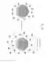 Fig. 13 - Nano-plasmonic molecular probes and methods of use