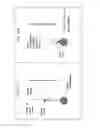 Fig. 20 - Nano-plasmonic molecular probes and methods of use