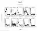 Fig. 10 - Assays for single molecule detection and use thereof