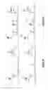 Fig. 20 - Assays for single molecule detection and use thereof