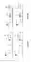 Fig. 21 - Assays for single molecule detection and use thereof