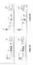 Fig. 24 - Assays for single molecule detection and use thereof
