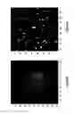 Fig. 34 - Assays for single molecule detection and use thereof