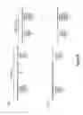Fig. 37 - Assays for single molecule detection and use thereof