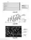 Fig. 41 - Assays for single molecule detection and use thereof