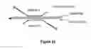 Fig. 46 - Assays for single molecule detection and use thereof