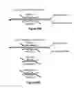Fig. 48 - Assays for single molecule detection and use thereof