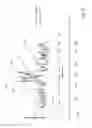Fig. 05 - Nanopore-based nucleic acid analysis with mixed FRET detection