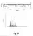 Fig. 12 - Enzyme-pore constructs