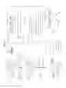 Fig. 13 - MULTIPLEX HOMOLOGY-DIRECTED REPAIR