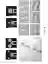 Fig. 35 - Systems and methods for automated reusable parallel biological reactions