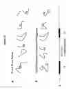 Fig. 10 - Analysis of nucleic acids