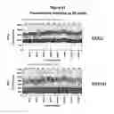 Fig. 37 - Analysis of nucleic acids