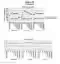 Fig. 51 - Analysis of nucleic acids