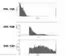 Fig. 22 - Molecular targets for ALS and related disorders
