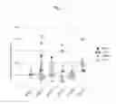 Fig. 02 - Method for detecting T-cell lymphoma