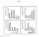 Fig. 07 - Method for detecting T-cell lymphoma