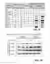 Fig. 05 - Allogeneic autophagosome-enriched composition for the treatment of disease