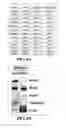 Fig. 07 - Allogeneic autophagosome-enriched composition for the treatment of disease