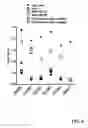 Fig. 09 - Allogeneic autophagosome-enriched composition for the treatment of disease