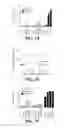 Fig. 10 - Allogeneic autophagosome-enriched composition for the treatment of disease