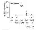 Fig. 14 - Allogeneic autophagosome-enriched composition for the treatment of disease