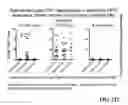 Fig. 18 - Allogeneic autophagosome-enriched composition for the treatment of disease